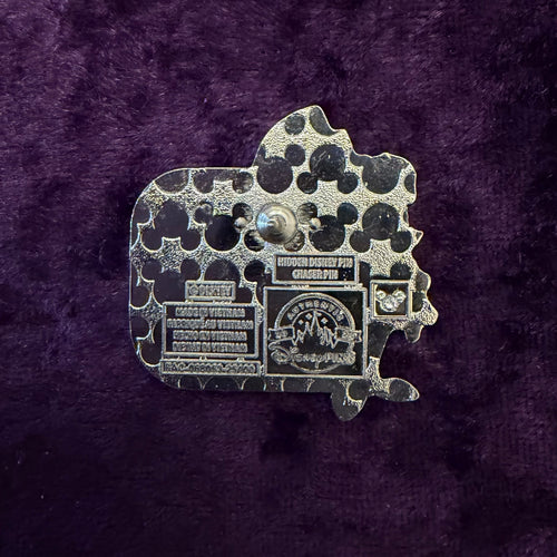 Mad Hatter “D” Chaser Pin | Walt Disney World 2025 Wave B Hidden Disney - Park Hopper Adventures