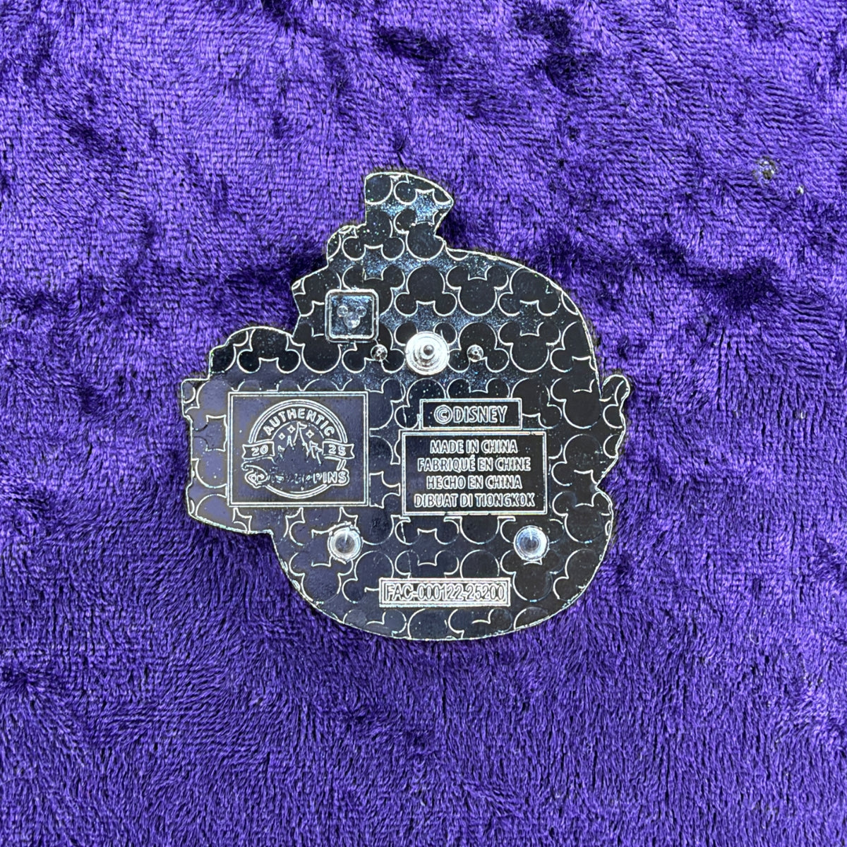 Muppets Haunted Mansion Kermit & Fozzie Doom Buggy Pin