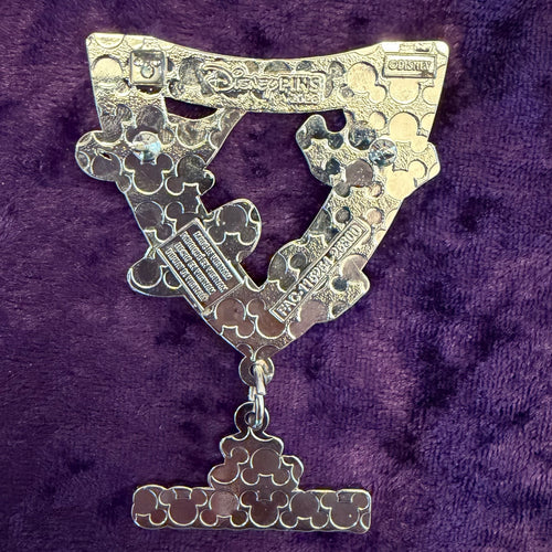 Disney Princess Lanyard with Medallion Pin | Disney Parks - Park Hopper Adventures